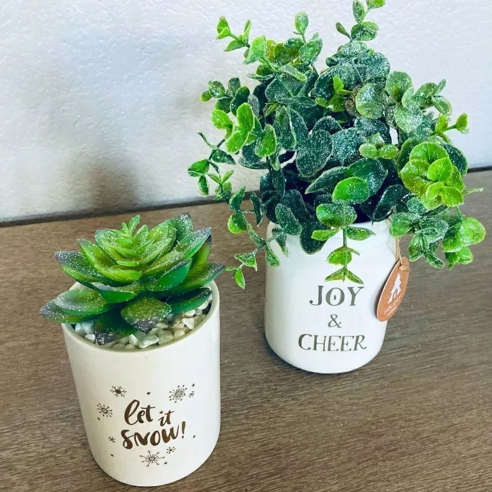 NWT Christmas Succulent Eucalyptus Plants In Ceramic Pots
